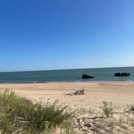 Chant Des Oiseaux *** * Royan