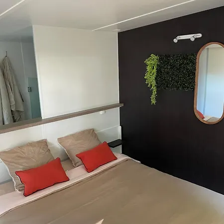 Chant Des Oiseaux *** Camping *