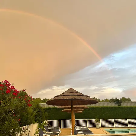 Chant Des Oiseaux *** Camping