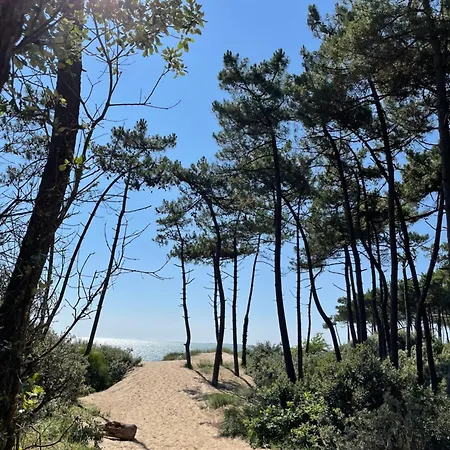 Chant Des Oiseaux *** Royan