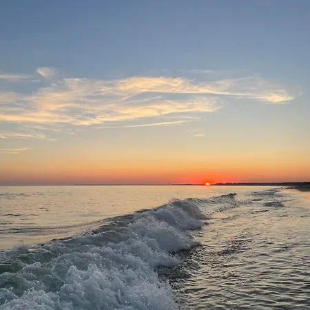 Chant Des Oiseaux *** *