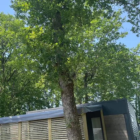 Campsite Chant Des Oiseaux ***