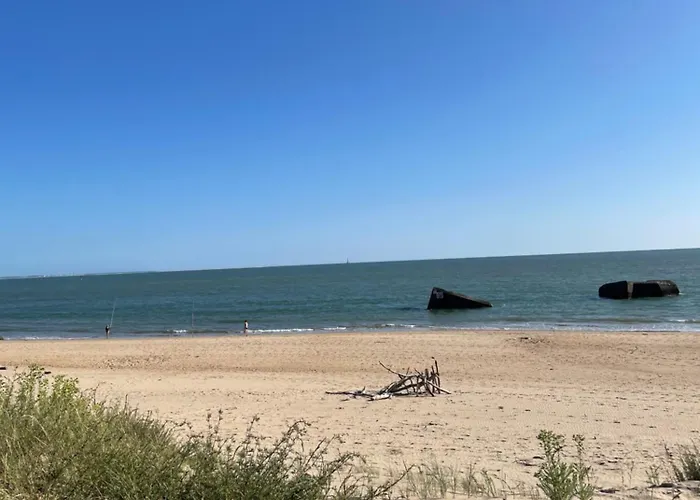 Chant Des Oiseaux *** * Royan
