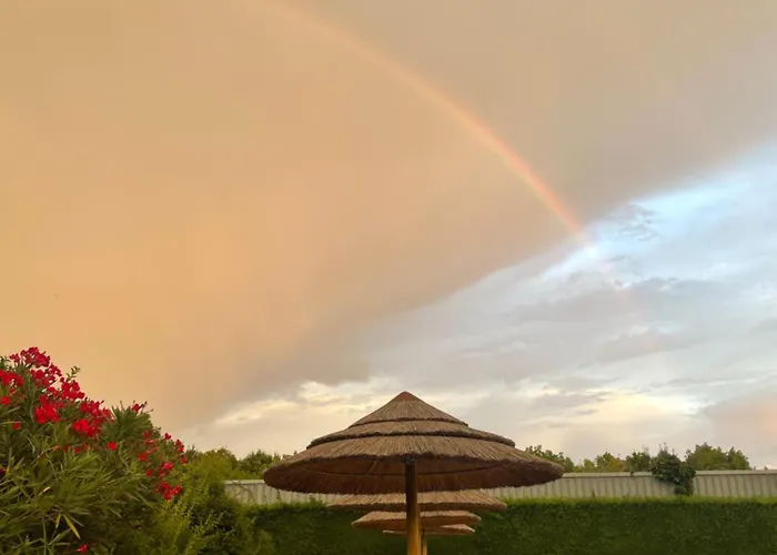 Chant Des Oiseaux *** Kemping