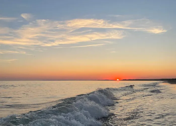 Chant Des Oiseaux *** *