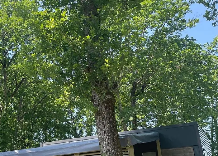 Kemping Chant Des Oiseaux ***